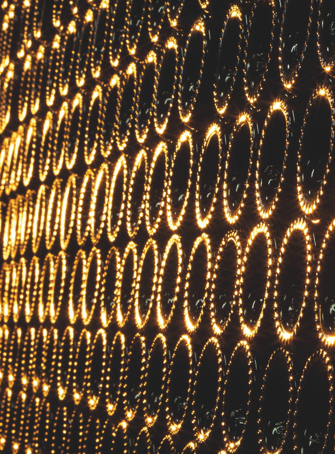 Bottles of wine lined up on their backsides