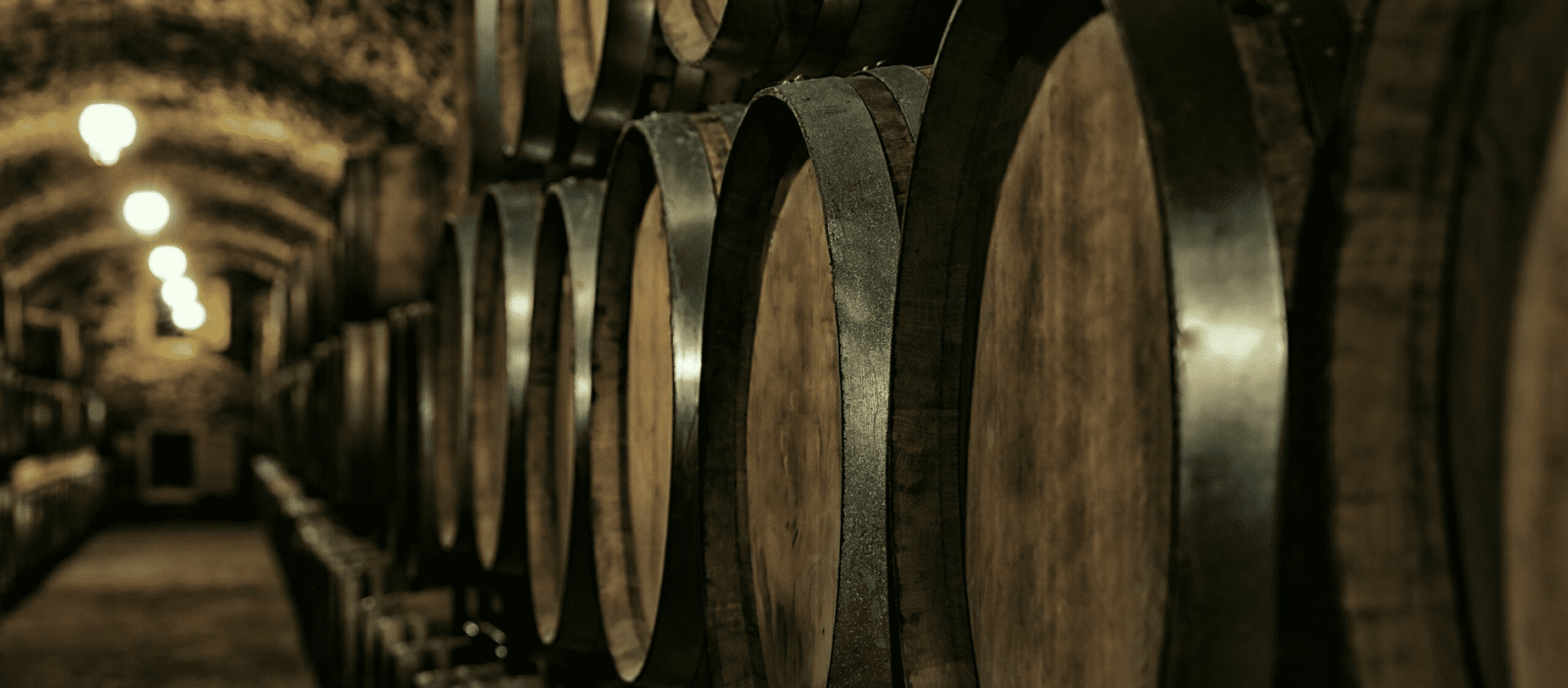 Barrels in a Spanish Bodega