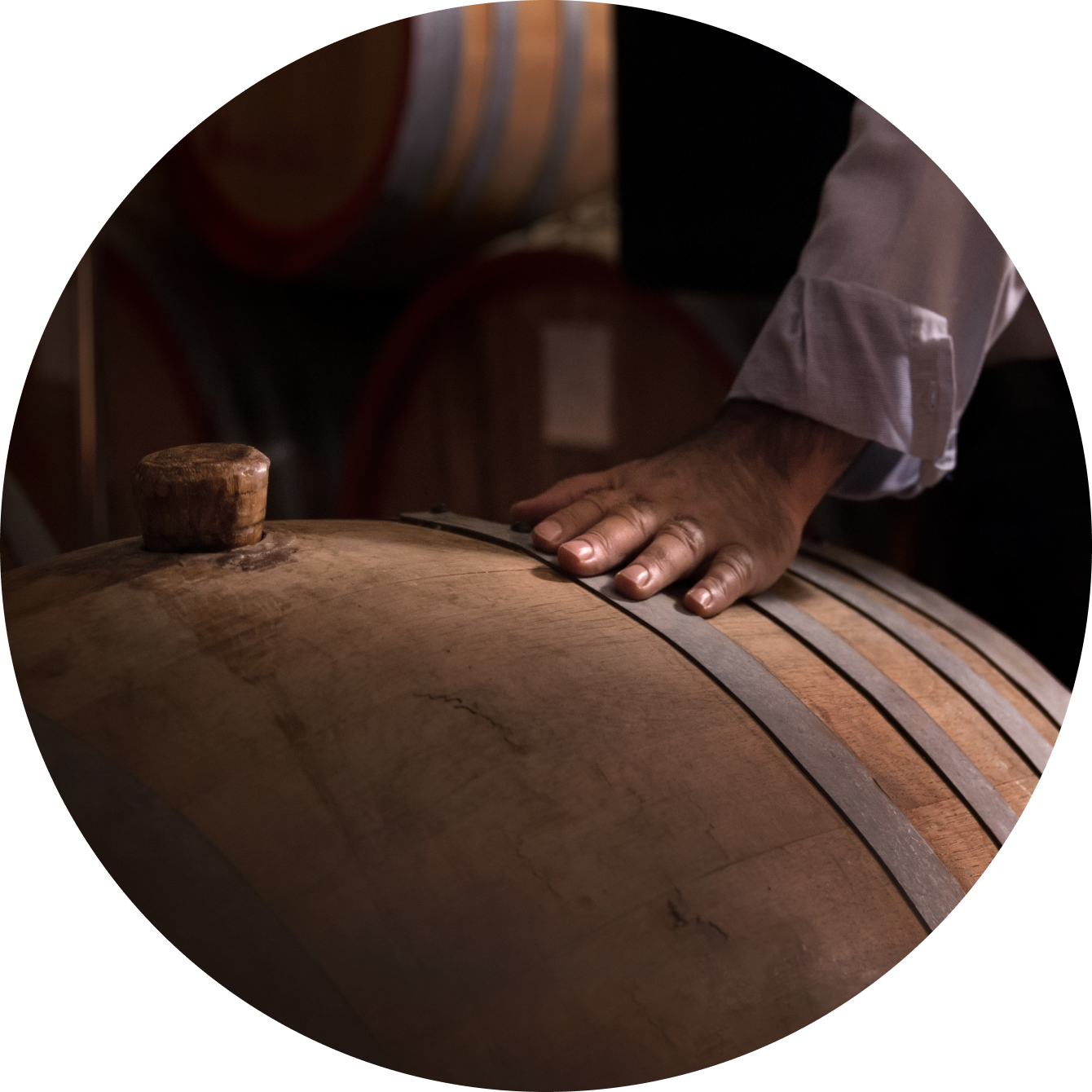 Hand caressing a barrel